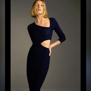 Zara midi dress NWT